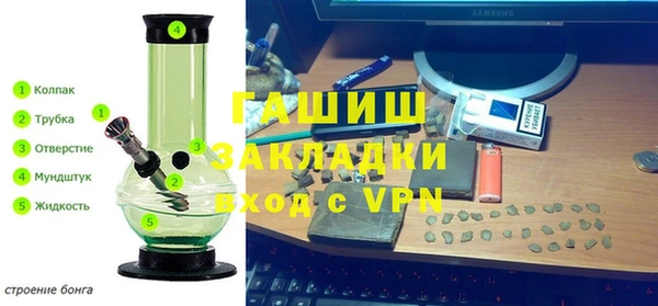 сатива Аркадак