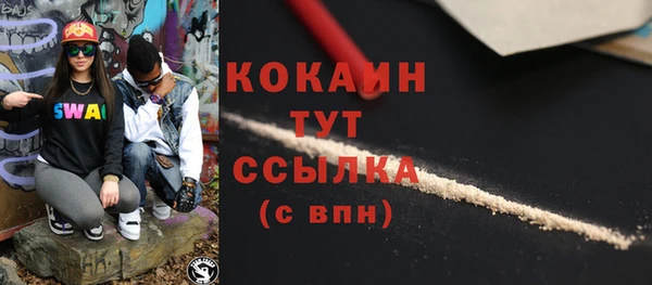 сатива Аркадак