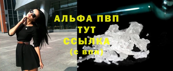 сатива Аркадак