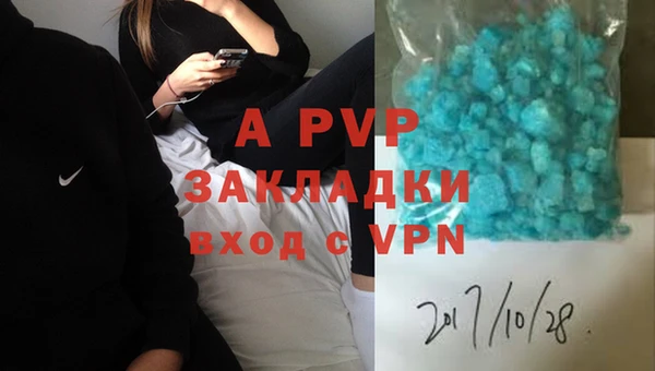 сатива Аркадак