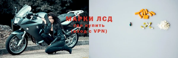 сатива Аркадак