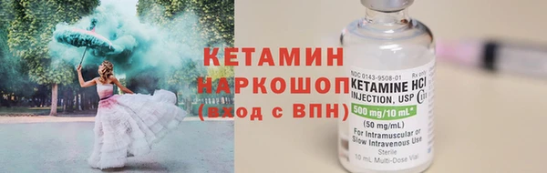 сатива Аркадак