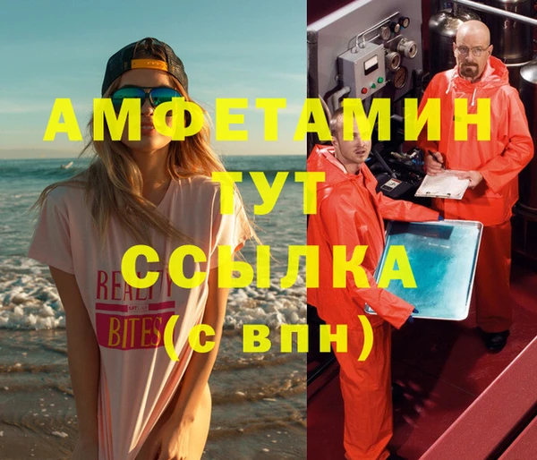 сатива Аркадак
