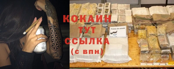 сатива Аркадак