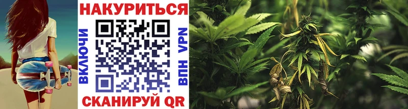Бошки Шишки White Widow  Купить где  Никольское 